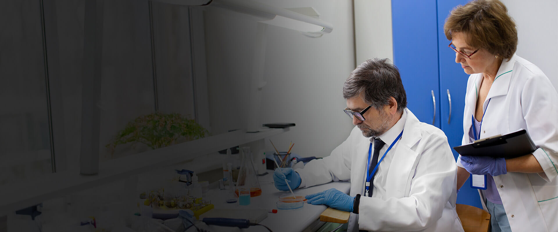 Building Unshakeable Trust: A Blockchain Ledger for Clinical Trial Data Integrity