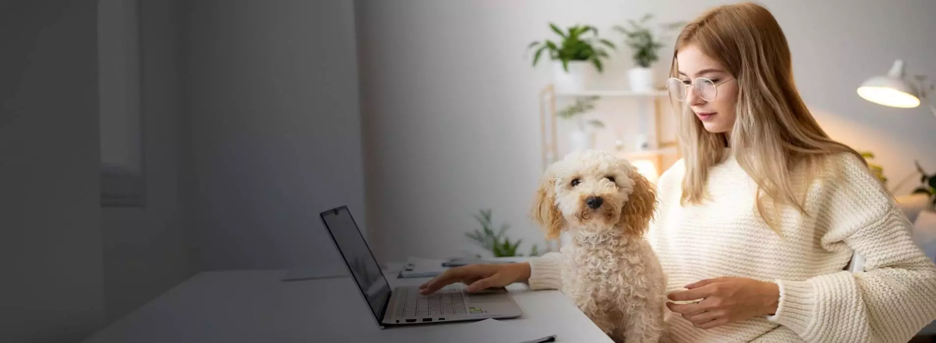 Pawsitive Paths Pet Tech Case Study Banner