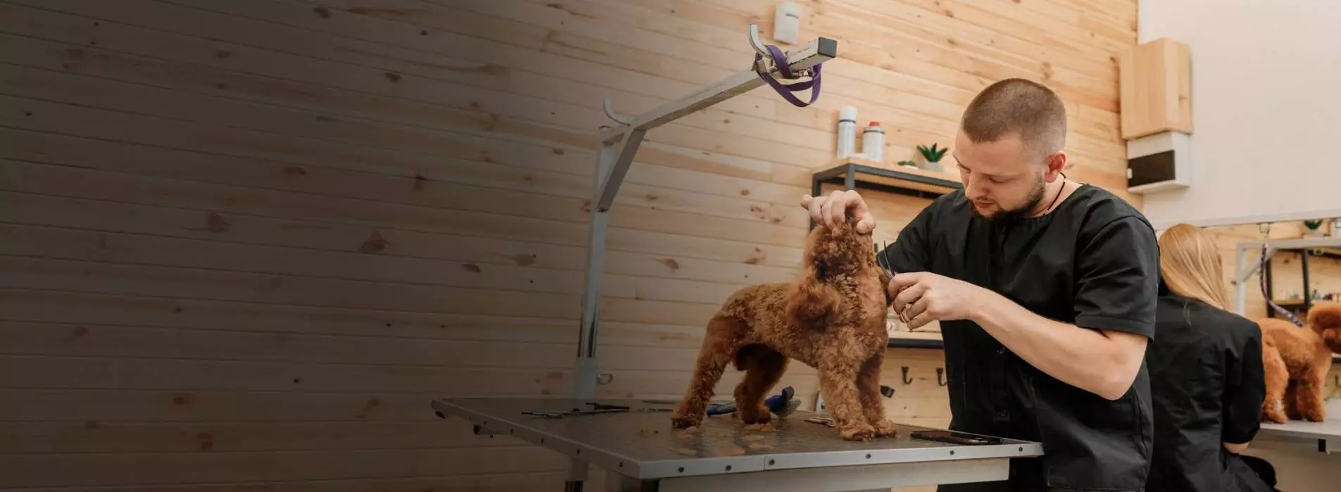 SaaS Vtiger CRM Integration