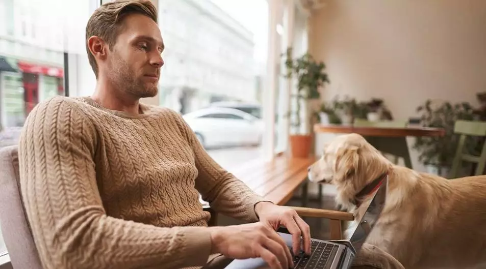 Pawsitive Paths App Development Problem