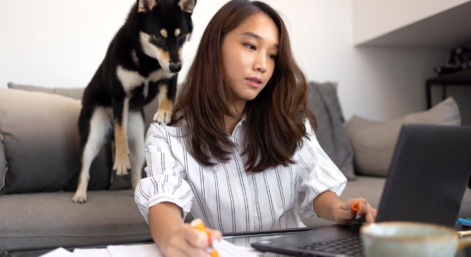 PetCare National App Performance Problem