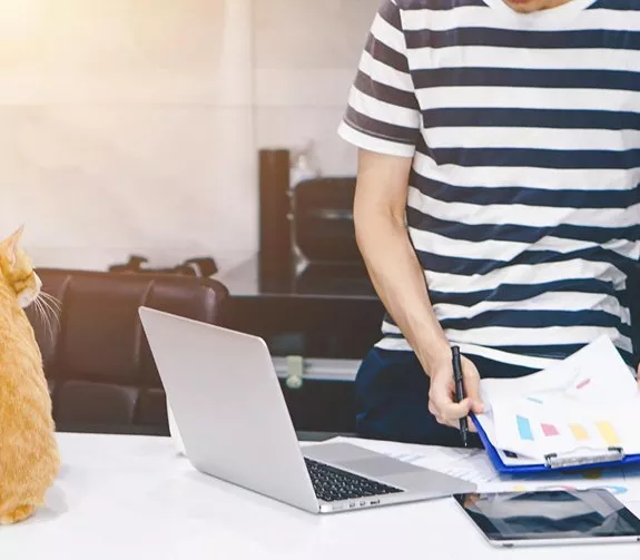 Positive Outcomes for PetCare National App