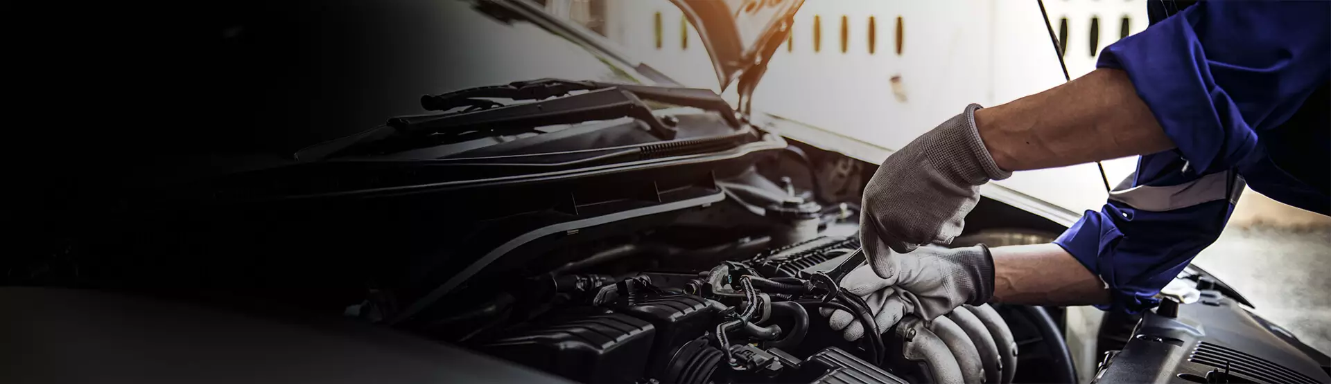 Our Headless Shopify Plus Solution