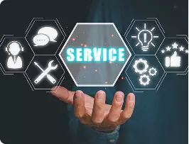 Complex Service Customization