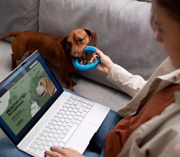 Positive Outcomes of Pet Tech MVP