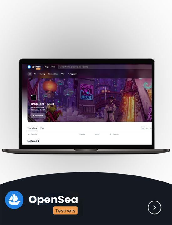 .Dev: Expert Developers