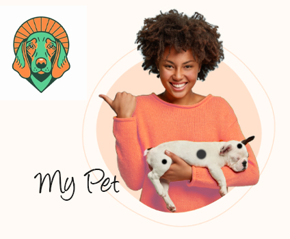 .Dev: Expert Developers