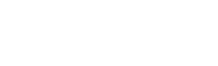 .Dev: Expert Developers