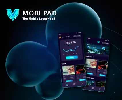 .Dev: Expert Developers