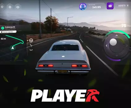 .Dev: Expert Developers