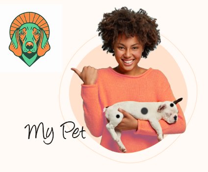 .Dev: Expert Developers