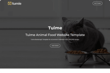.Dev: Expert Developers