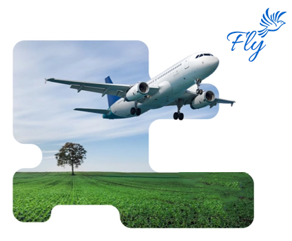 .Dev: Expert Developers