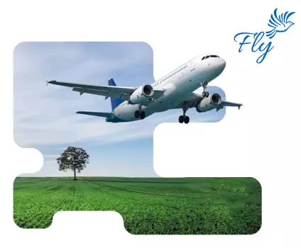 .Dev: Expert Developers