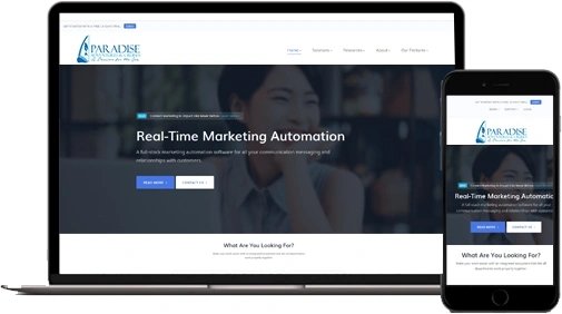 software development services