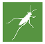 Grasshopper