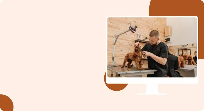 Local Pet Services, Small Business