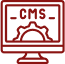 CMS Development & Customization