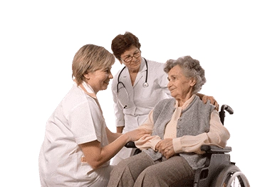 software development services