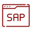 SAP Application Management Services (AMS)