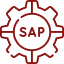 SAP ABAP / Fiori Pod