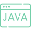 Enterprise Java Development