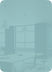 software development services