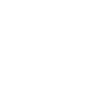 software development services