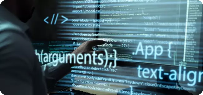 software development services