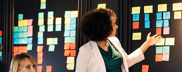 Agile Development Sprints