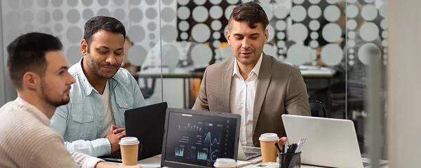 Agile Development and Sprint Cycles