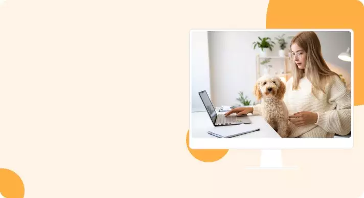 Pet Tech, On-Demand Services