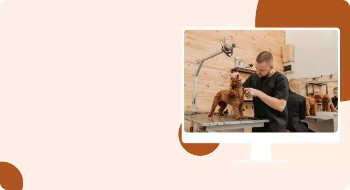 Local Pet Services, Small Business