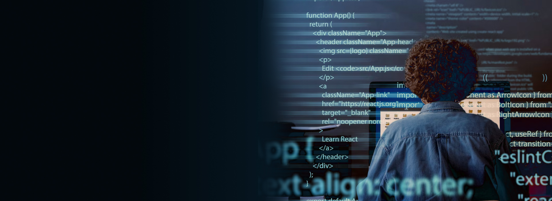 Hire Dolphin Developers