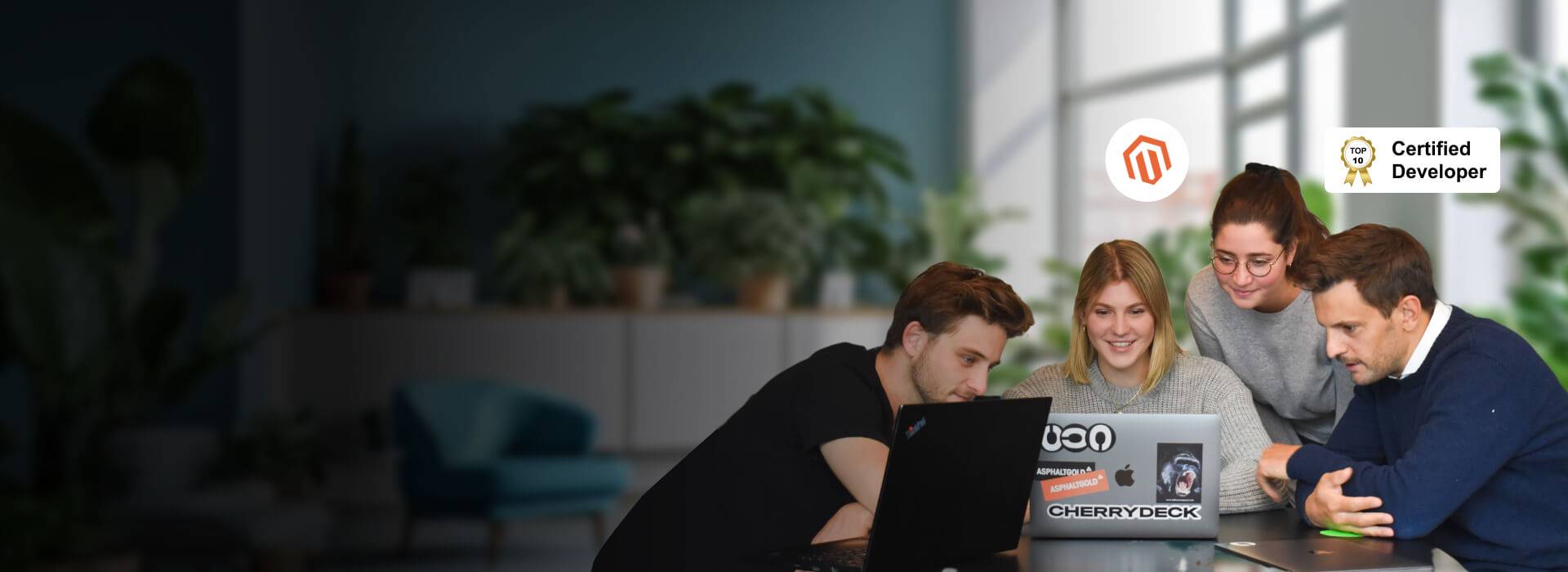 Hire Magento Developers Team
