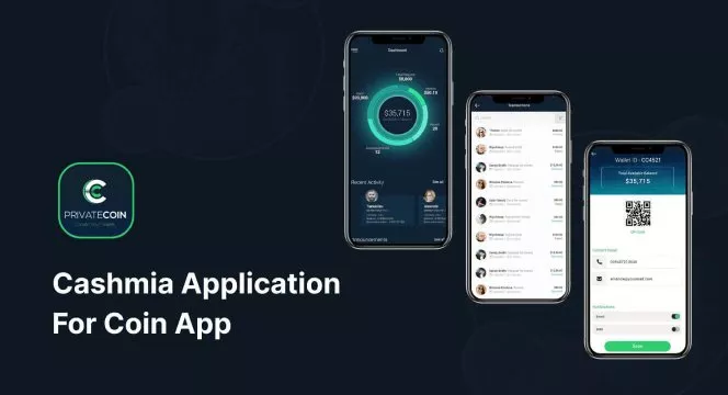 software development services