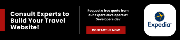 Consult Experts to Build Your Travel Website!