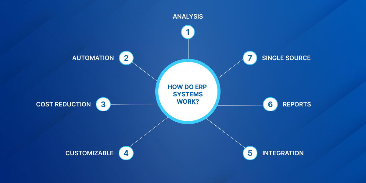 How Do ERP Systems Work?