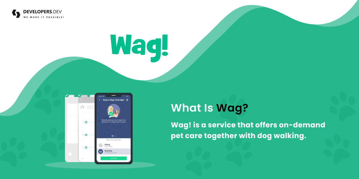What Is Wag?